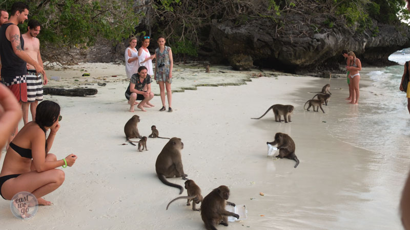Monkey beach - Kho Phi Phi